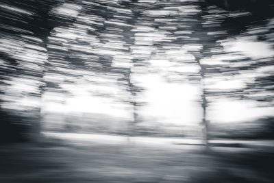 Black and white photography of trees in the forest, motion blur with a high speed shutter, double exposure, glitch art in the style of various artists. --ar 128:85