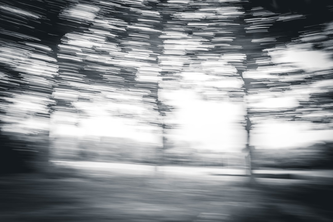 Black and white photography of trees in the forest, motion blur with a high speed shutter, double exposure, glitch art in the style of various artists. –ar 128:85