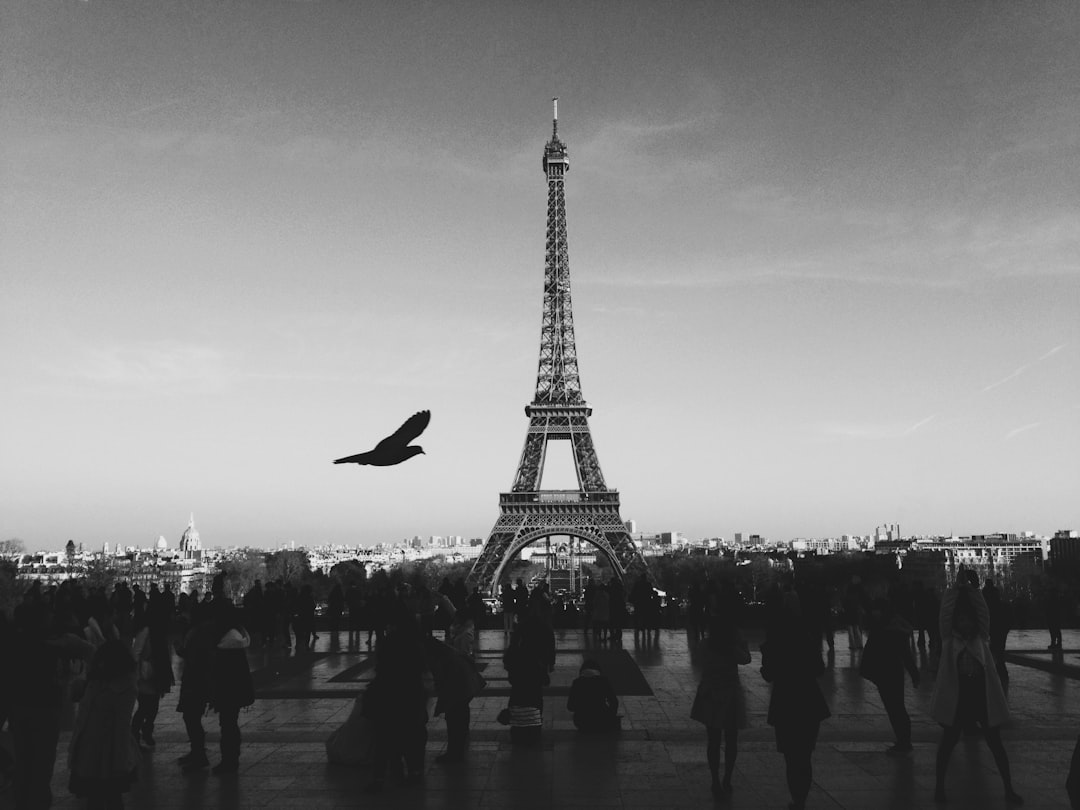 a black and white photo of the eiffel tower with people walking around, one bird flying in front of it, unsplash photography style, –ar 4:3