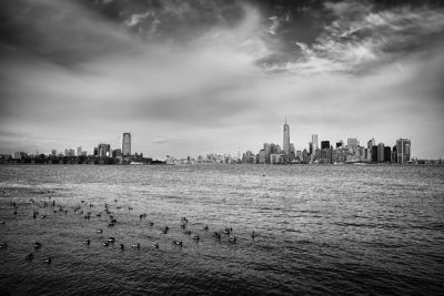 A black and white photograph of the New York City skyline from across distressed water, with ducks swimming in it. The cloudy sky. Shot on Nikon D3500. --ar 128:85