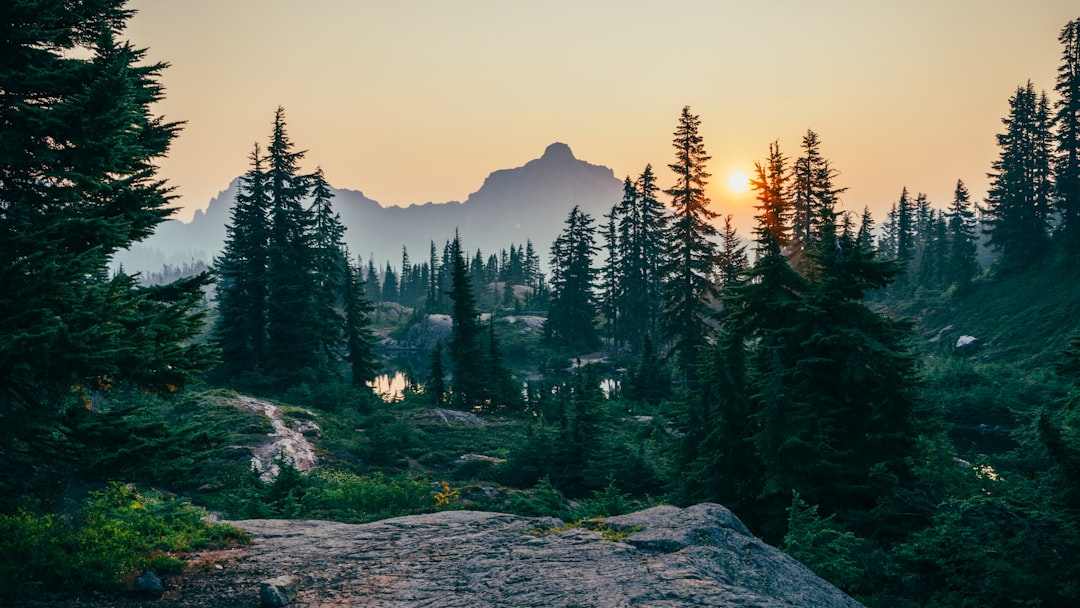 A photo of the mountain range in Washington, USA with pine trees and sunset, captured in the style of Sony Alpha A7 III camera with an f/2 lens at a focal length of 35mm, capturing the natural beauty of nature. The image showcases the rugged terrain and dense forest, creating a serene atmosphere. In sharp focus, there is a small lake surrounded by tall pines. Soft sunlight bathes the scene, casting long shadows over the landscape. This picturesque view captures the essence of wilderness. –ar 16:9