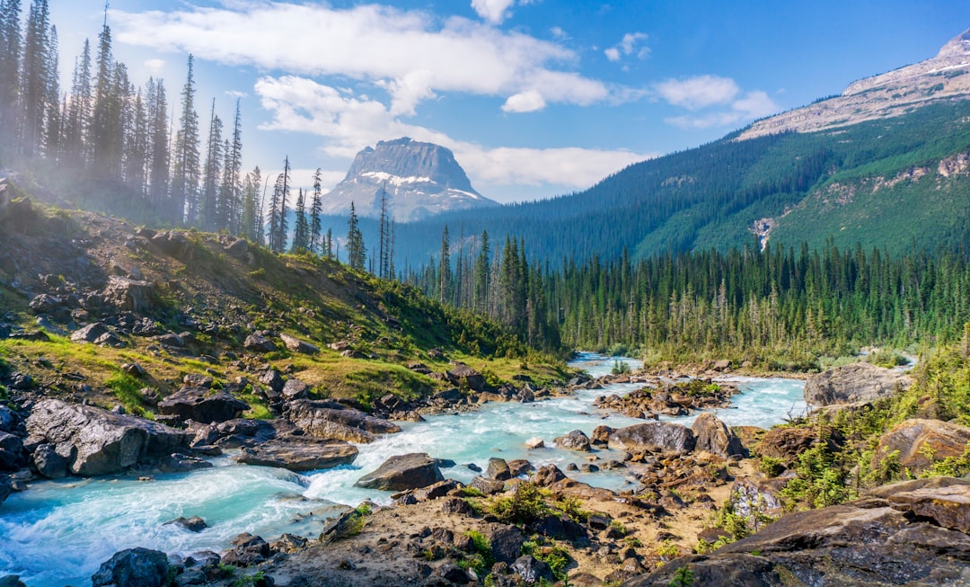 A stunning landscape photograph of the Yosemite National Park in British Columbia, Canada. The scene shows the mountain range with dense forests and rocky peaks, with clear blue skies above. A crystal clear river winds through the valley below, surrounded by lush green trees. In front is an isolated peak that stands tall against the background. Shot on a Nikon D850 DSLR camera using a wide-angle lens to capture the vastness of nature’s beauty. The photograph is in the style of [Ansel Adams](https://goo.gl/search?artist%20Ansel%20Adams). –ar 128:77