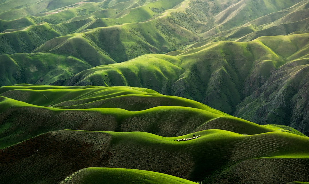 The undulating green hills of the Valley, in the style of National Geographic magazine, top view, hyper realistic photography, award winning photography, natural lighting, sunny day, cinematic light –ar 32:19