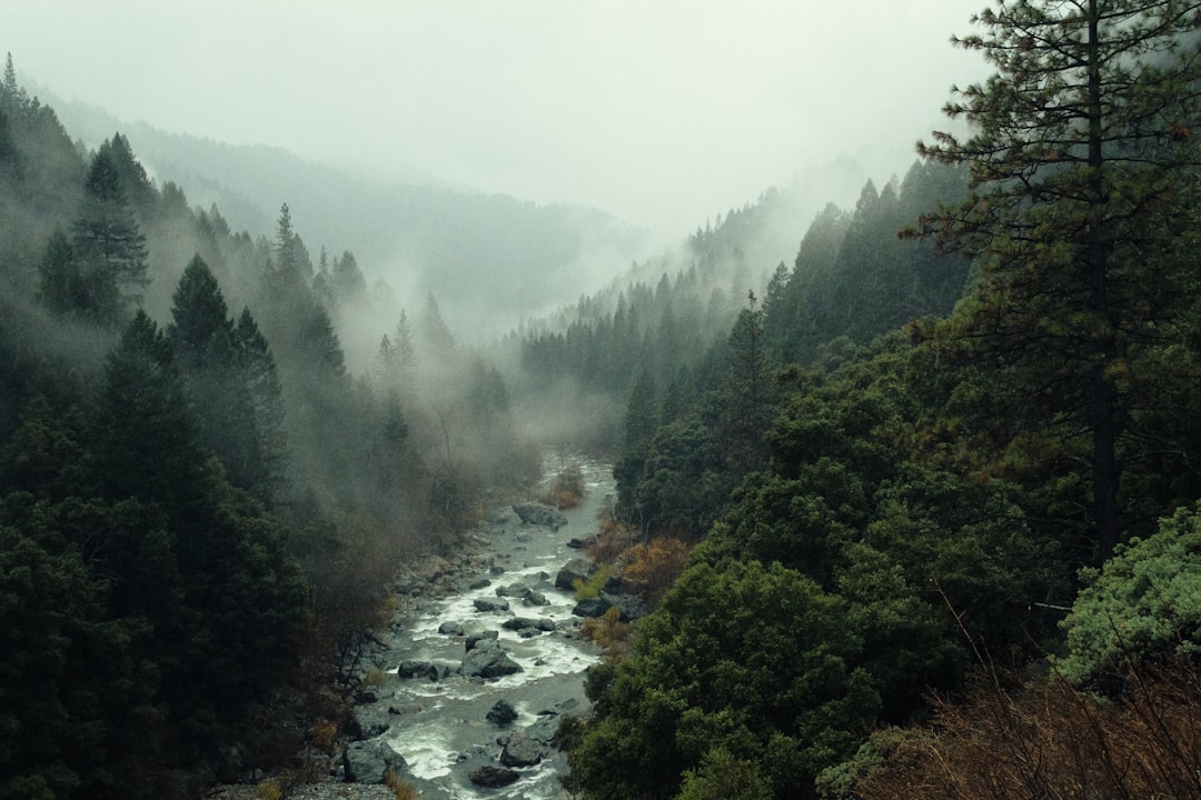 A misty river runs through the forest in Red Lake, California. The photo is taken from above and shows dense green forests with tall trees covering mountains in the background. It’s overcast but there is still some light coming out from behind the clouds, giving everything an ethereal feel. –ar 128:85