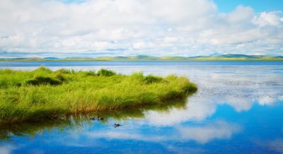 A serene scene of the Mongolian Boltat wetland, with its vast expanse of blue water and lush green grass under a clear sky, ducks swim in the calm waters. The distant hills add to the peaceful atmosphere. The photography captures the style of nature's beauty in high resolution and high quality with HDR, high contrast, and a wideangle lens using natural light and reflection on the surface to depict the tranquility. High definition provides a detailed depiction of nature's beauty. --ar 128:69