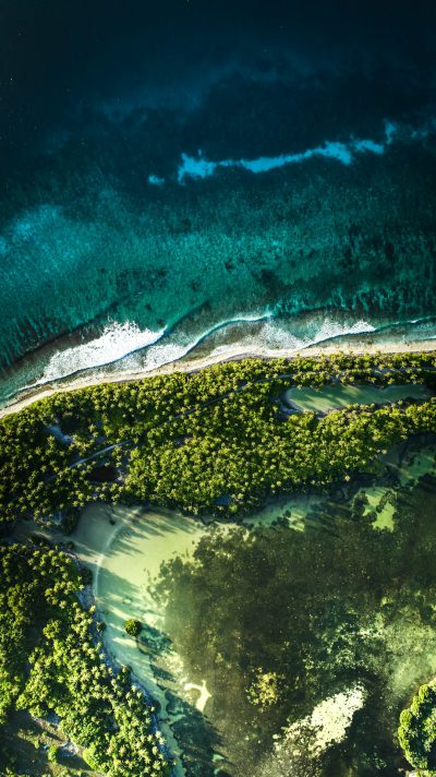 Aerial view of the entire island, tropical forest and sandy beach, blue sea water, National Geographic photography awardwinning photograph, high resolution, high detail, sharp focus, intricate details, hyper realistic, super detailed, hyper quality, super resolution, --ar 71:128