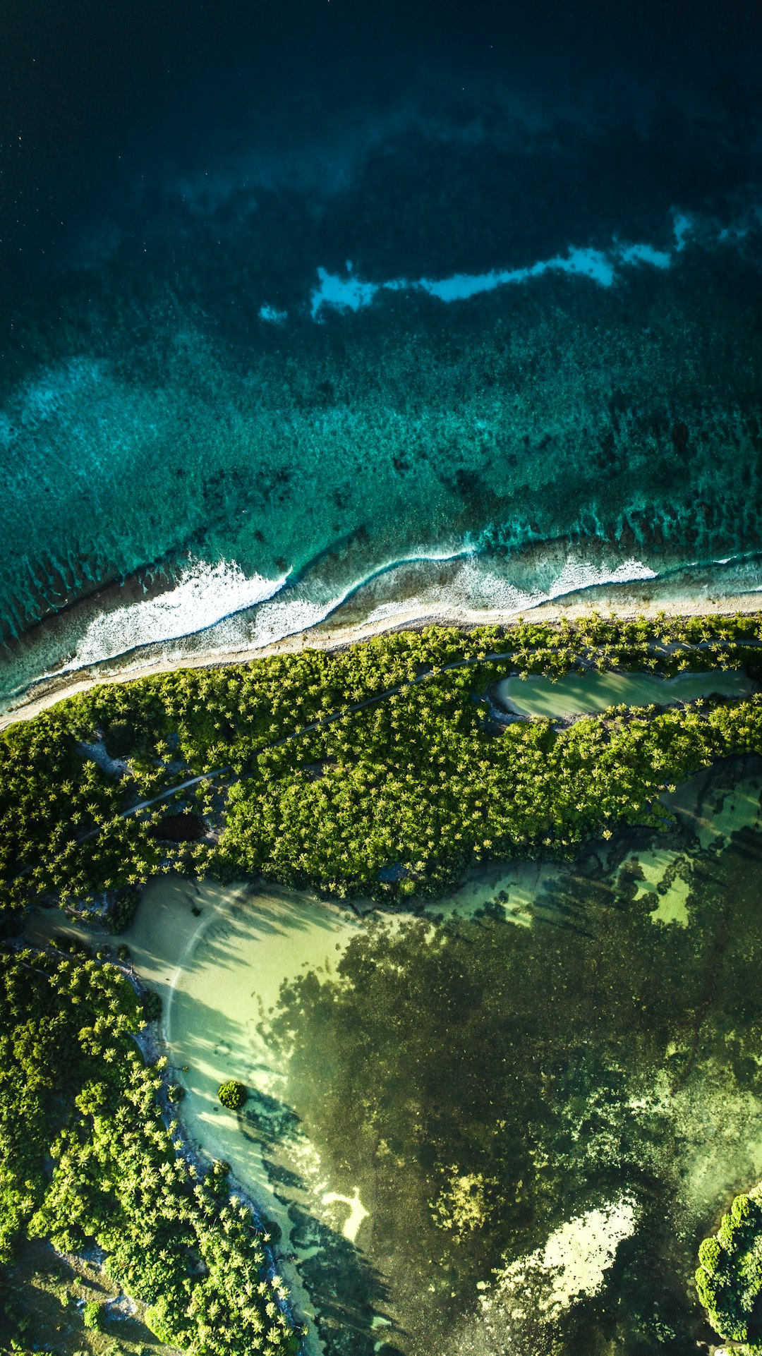 Aerial view of the entire island, tropical forest and sandy beach, blue sea water, National Geographic photography awardwinning photograph, high resolution, high detail, sharp focus, intricate details, hyper realistic, super detailed, hyper quality, super resolution, –ar 71:128