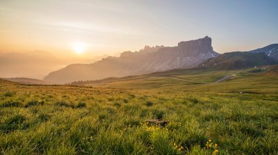 Cinematic nature photography of the Dolomites in Italy at sunrise with green grass and yellow flowers, the Alps mountains in the background, a mountain road leading to an iconic peak. The sun is rising over the horizon casting long shadows on the grassland. There is some mist or fog around adding mystique to the scene. Shot in the style of [Roger Deakins](https://goo.gl/search?artist%20Roger%20Deakins) using a Canon EOS5D Mark III camera with an EF lens. --ar 128:71