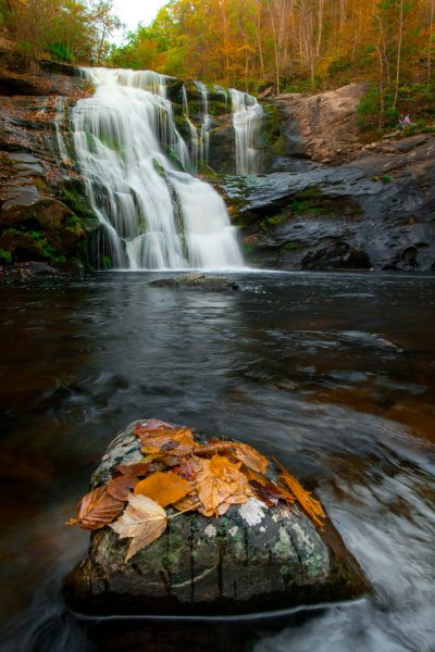 photograph of the waterfalls at Jhavingen State Park in New York, autumn leaves on rock in foreground, waterfall in background, long exposure, depth of field, rule of thirds. --ar 85:128