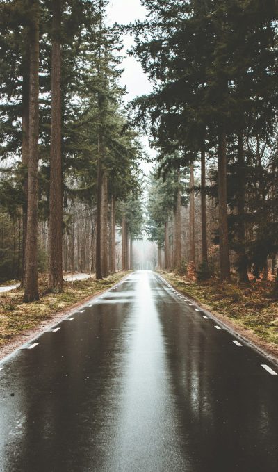 photo of the road in front, lined with tall trees on both sides, rainy day, clean and simple, natural light, forest background, unsplash photography in the style of photography, --ar 75:128