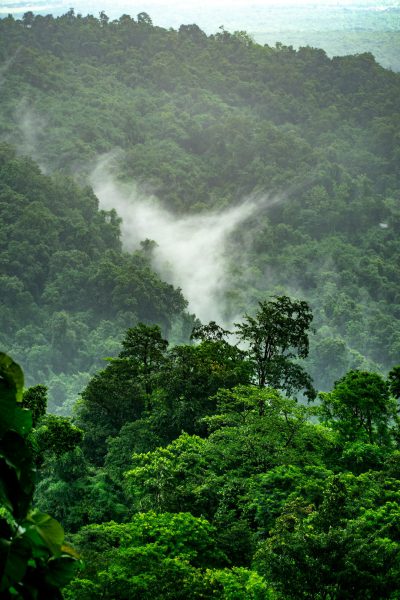 In the deep forest of a tropical rainforest, mist rises from behind green trees on mountain slopes. A white cloud forms an S-shaped curve in front of it. The background features undulating mountains and dense forests. Shot with a Nikon D850 camera using a Nikon AFS Nikkor 24-70mm f/3.6E ED VR lens, in the style of Chinese landscape paintings. --ar 85:128