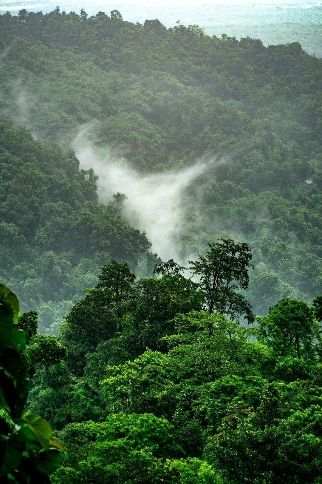 In the deep forest of a tropical rainforest, mist rises from behind green trees on mountain slopes. A white cloud forms an S-shaped curve in front of it. The background features undulating mountains and dense forests. Shot with a Nikon D850 camera using a Nikon AFS Nikkor 24-70mm f/3.6E ED VR lens, in the style of Chinese landscape paintings. –ar 85:128