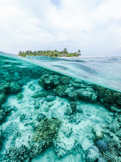 A beautiful coral reef in the Maldives, taken from underwater with an island visible on top of it. The water is clear and turquoise, with small waves lapping at the shore covered in white sand. There is also some greenery around the area, adding to its natural beauty. In the background you can see another tropical archipelago, possibly even more distant, with palm trees and lush vegetation. This scene captures both serene waters and vibrant marine life, making for a stunning photograph in the style of a tropical landscape artist. --ar 3:4