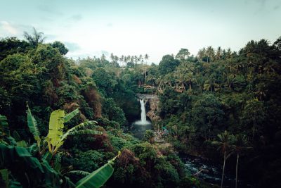 Photo of a wide angle view of a waterfall in Bali, showing a dense jungle with tropical plants and palm trees in the style of cinematic photography. Unsplash photography. --ar 128:85