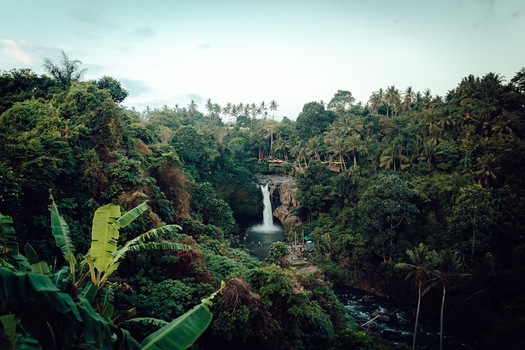 Photo of a wide angle view of a waterfall in Bali, showing a dense jungle with tropical plants and palm trees in the style of cinematic photography. Unsplash photography. –ar 128:85