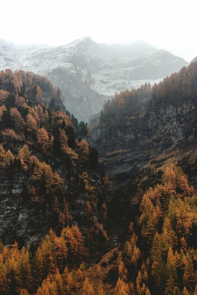 Photo of the Italian Alps in autumn, surrounded by larch trees and mountains covered with snow, shot on Fujifilm Provia film stock, white sky, cinematic composition, grainy texture, moody, editorial photography, unsplash style, natural light, muted colors, nature landscape, --ar 85:128