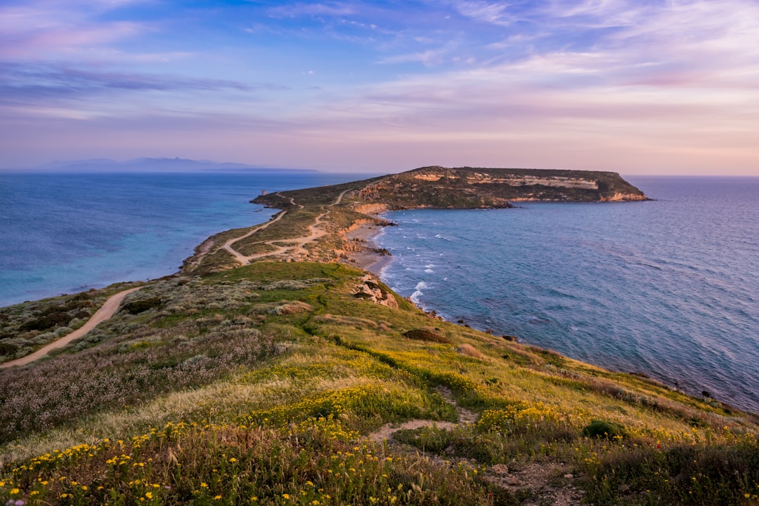 view of the coast from above in Lec فترة, painting with island seen far away in background. The sea is calm and blue, the sky is pastel pink at sunset. Green grass on hillsides, yellow wildflowers along path leading to beach. A small lighthouse can be seen slightly in distance. In the style of National Geographic photo. –ar 128:85