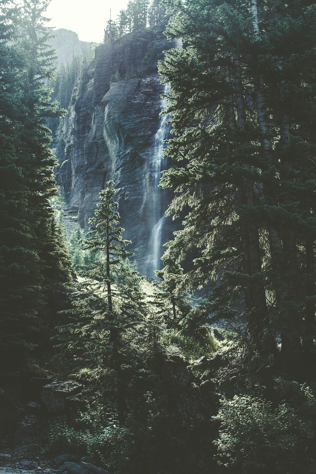 A tall waterfall in the forest, captured in film photography with a grainy and highly detailed style. The analog photo shows a vintage and cinematic scene of a mountainous area with dense trees and natural lighting. The greenery, sunny day and sun rays create shadow play with depth of field, looking like a summer time. Water spray and mist fill the fresh air, making a picturesque view of the wet and glistening waterfall in the morning light. The nature aesthetic captures the wilderness with its wilderness and morning light. –ar 85:128