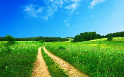 Beautiful green meadow with dirt road and blue sky background --ar 8:5