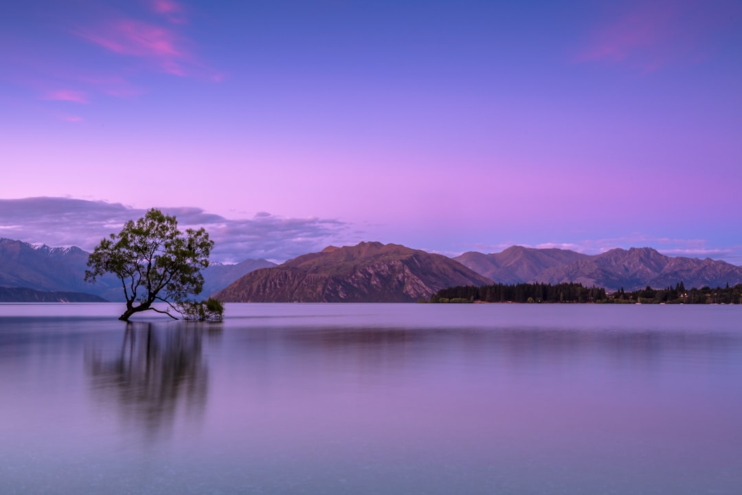 A stunning landscape photograph of the iconic tree on Lake Tekdere in New Zealand, captured at dusk with purple and blue hues reflecting off the water’s surface, showcasing majestic mountains in the background. The scene is tranquil yet dynamic, highlighting the beauty of nature’s palette. A Canon EOS5D Mark III camera was used for high-resolution capture. –ar 128:85
