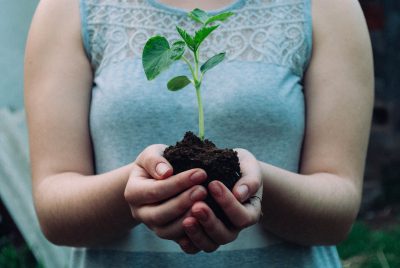 Closeup of hands holding soil with a sprout, a woman in a blue sleeveless top in the style of natural light, a green background, photo realistic. --ar 128:85