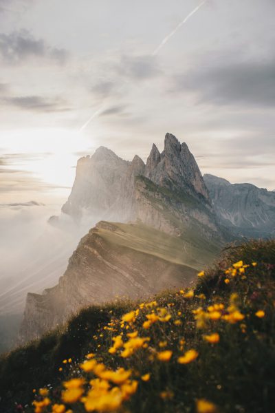 Cinematic photography of the Dolomites in Italy with yellow flowers, foggy sky, summertime, mountainscape, highly detailed, golden hour, shot in the style of Canon EOS R5. --ar 85:128