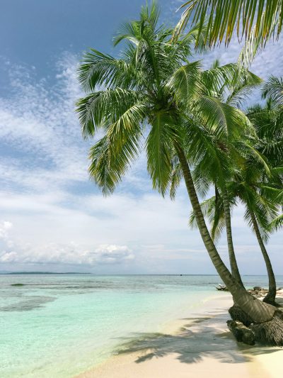 A tropical beach with palm trees and clear blue water, Maldives photo on Canon R5 --ar 3:4