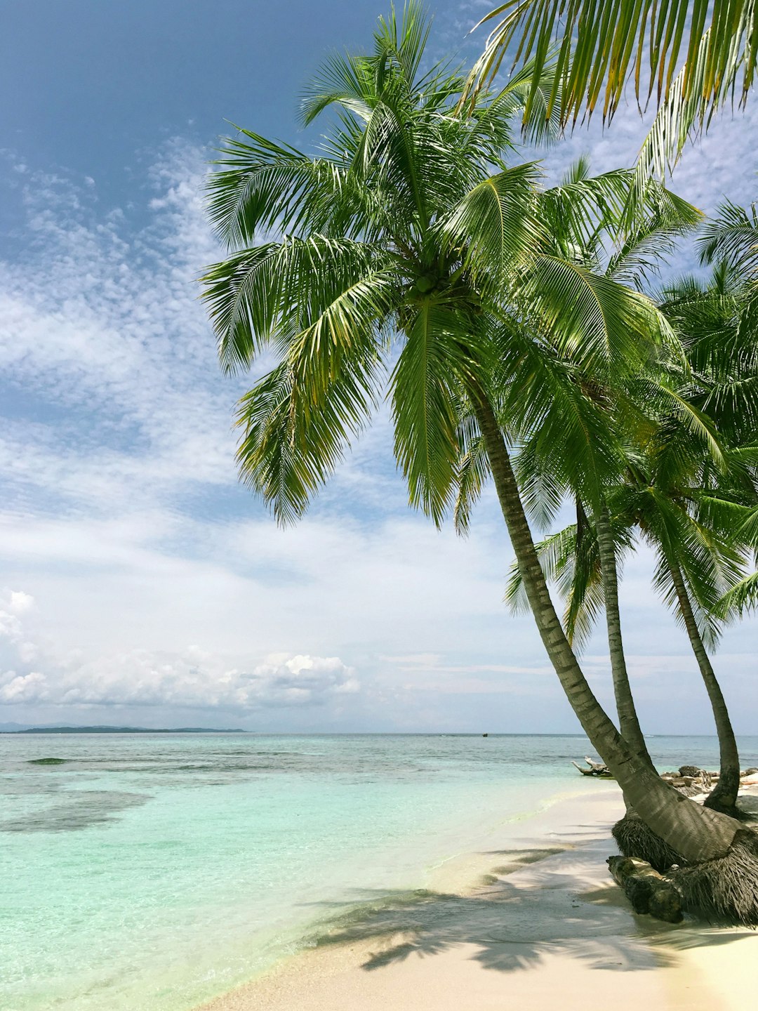 A tropical beach with palm trees and clear blue water, Maldives photo on Canon R5 –ar 3:4