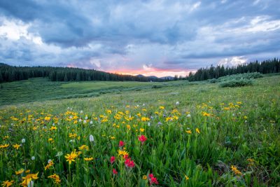 In the heart of Arapahoe National Forest, there is an endless field covered in wildflowers under a dramatic sky at sunset. The scene captures a wide view with lush green meadows and colorful blooms that create a picturesque landscape. In the distance behind it lies dense forests and distant mountains adding to its grandeur. Shot in the style of Nikon D850 DSLR camera with an NIKKOR Z7 24-30mm f/6 lens, photo realistic. --ar 128:85