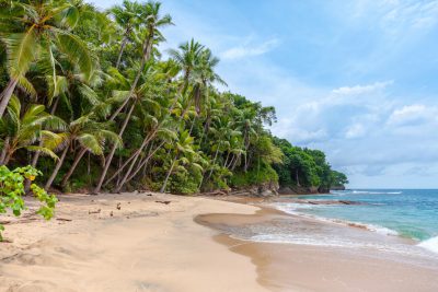 A beautiful tropical beach with palm trees and sandy shore. The coast is located near the city of Samara, Costa Rica. A wide view of an empty sand-covered coastline, surrounded by lush greenery on both sides. In front there's calm blue water gently crashing onto golden sands, creating gentle waves. There could be people enjoying their time at it or walking along its edge. It should have a relaxed atmosphere. --ar 128:85