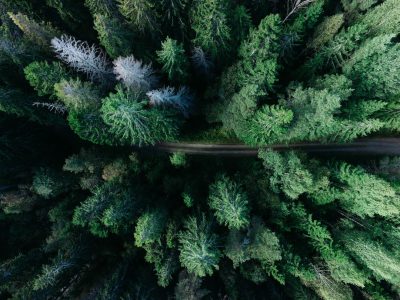 Aerial view of a forest road in Finland, drone photography with a dark green trees and a top down perspective with natural lighting. A detailed and high resolution aerial photo with a wide angle landscape of a forest background during the summer time on a sunny day in a pine tree forest nature scene. A bird's eye view of a road through the woods in a wide shot long distance view. --ar 4:3