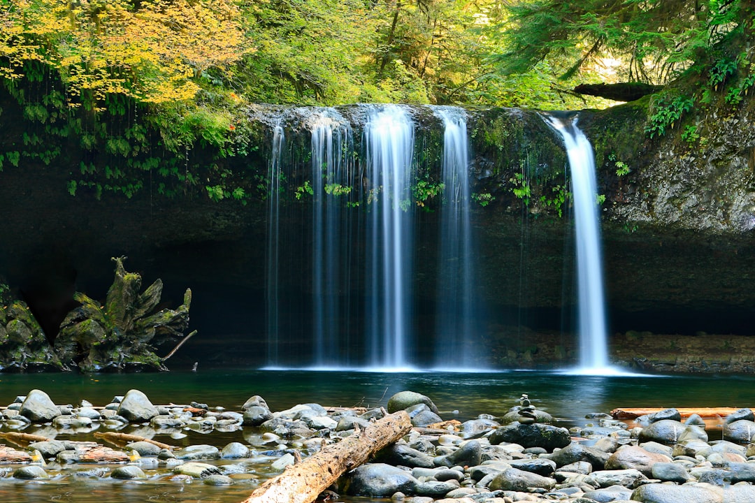 Photo of Silver Falls in Oregon, with water flowing over rocks and pebbles with lush greenery on the sides. A waterfall with two white vertical drops falling from top to bottom. A fallen log near the water’s edge in a peaceful natural scene with natural light. –ar 128:85