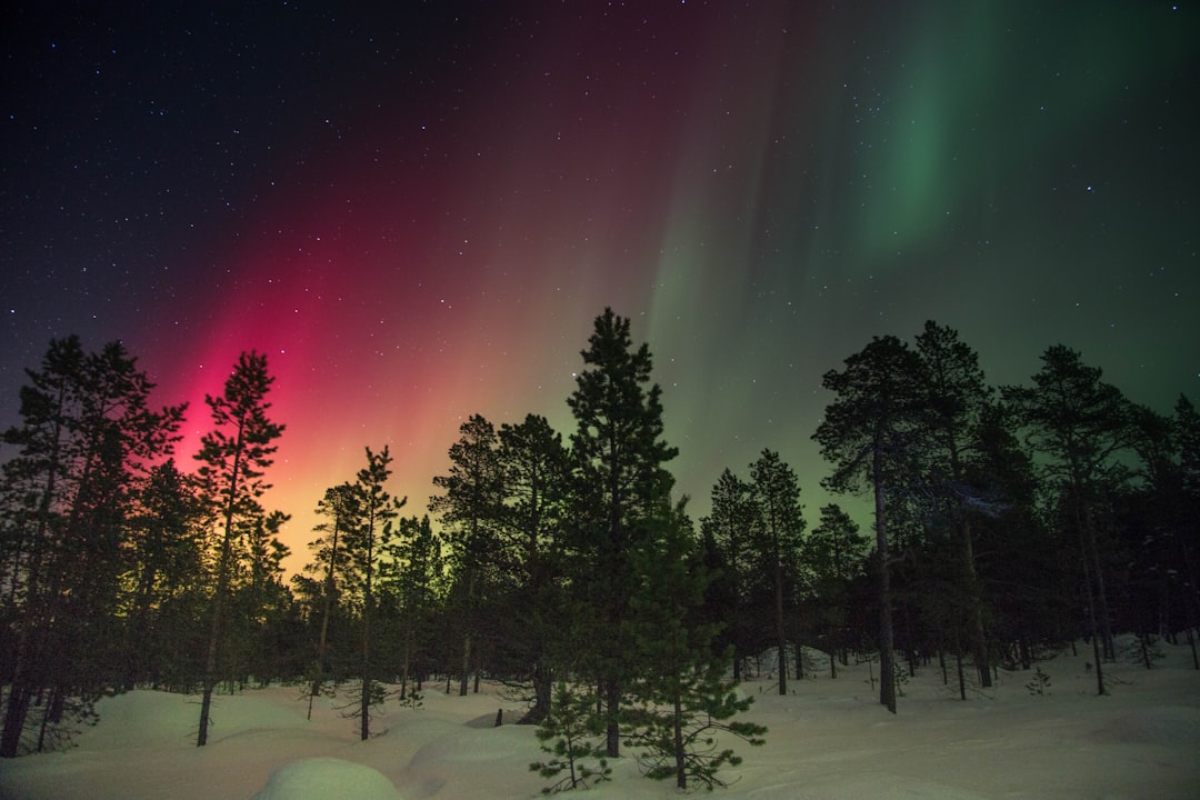 A vibrant display of the Northern Lights dancing above an ancient pine forest in Lapland, Finland. The sky is painted with hues of pink and green as they dance across the night sky. In front there’s snow-covered ground. Photo taken in the style of Sony Alpha A7 III camera using Kodak Portra Pro Film. –ar 128:85