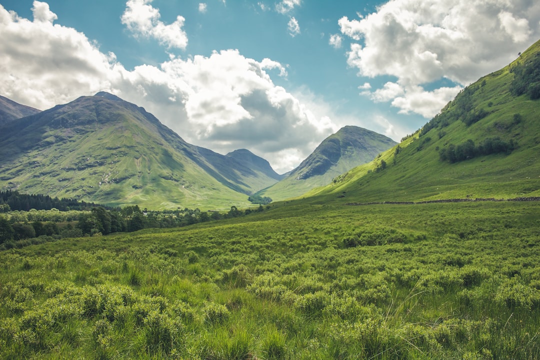 A green grassy valley with Scottish mountains in the background, a sunny day with a blue sky and clouds. Photographed with a Canon EOS R5 in the style of no particular artist. –ar 128:85