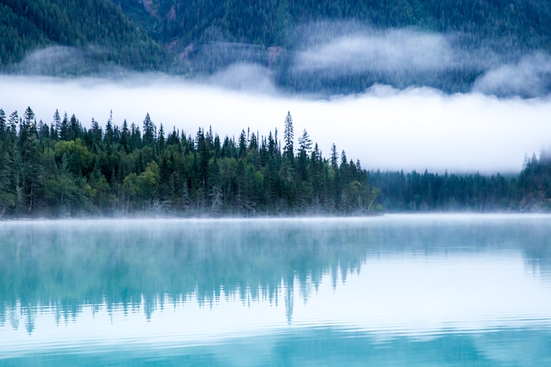 Photograph the misty beauty of Lakeplei in British Columbia, Canada with its turquoise waters reflecting the surrounding pine forest and mountains. The fog adds an ethereal touch to create a serene scene perfect for adding a sense of tranquility or mystery to your designs. , shot by Sony Alpha A7 IV camera. ISOs from 200450, –ar 128:85