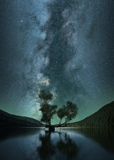 The starry sky is reflected on the lake, with an ancient tree growing in it and surrounded by mountains under its feet. The Milky Way hangs high above the night scene, creating a mysterious atmosphere of tranquility. Understated colors create a sense of mystery, while the dark green color scheme adds depth to the overall composition. High definition photography style, wideangle lens perspective, reflection effect on water surface, night shooting lighting effects. in the style of night photography. --ar 91:128