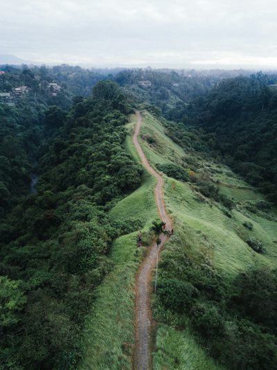 Aerial view of the road on top of a green mountain in Bali, drone photography in the style of moody. --ar 95:128