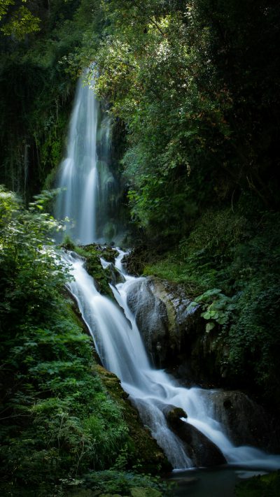 A waterfall cascades down from the dense greenery of an ancient forest, creating a mesmerizing display of water in motion. The soft light illuminates the surrounding foliage and creates a serene atmosphere. High resolution photography. Canon EOS style. --ar 9:16