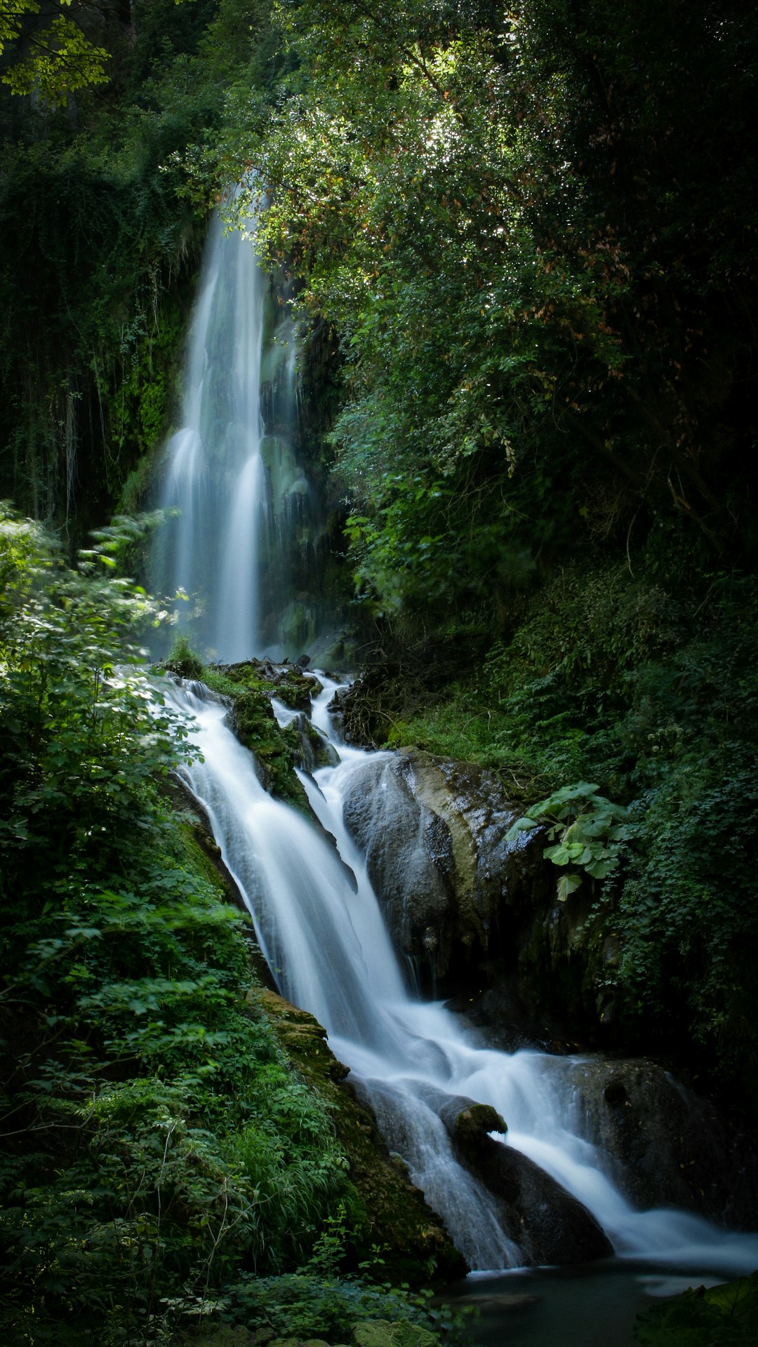 A waterfall cascades down from the dense greenery of an ancient forest, creating a mesmerizing display of water in motion. The soft light illuminates the surrounding foliage and creates a serene atmosphere. High resolution photography. Canon EOS style. –ar 9:16