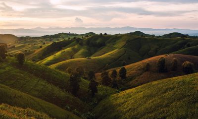 Green hills in Thailand, golden hour, cinematic, shot with Sony Alpha A7 III camera, beautiful nature scenery, green fields, green mountains, hilly terrain, beautiful sky, spectacular background, wide angle lens, stunning landscape, natural lighting, clear sky, photorealistic. --ar 32:19