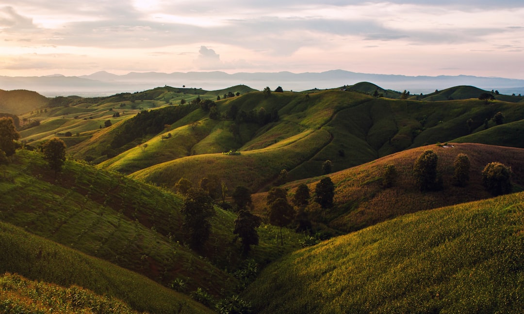 Green hills in Thailand, golden hour, cinematic, shot with Sony Alpha A7 III camera, beautiful nature scenery, green fields, green mountains, hilly terrain, beautiful sky, spectacular background, wide angle lens, stunning landscape, natural lighting, clear sky, photorealistic. –ar 32:19