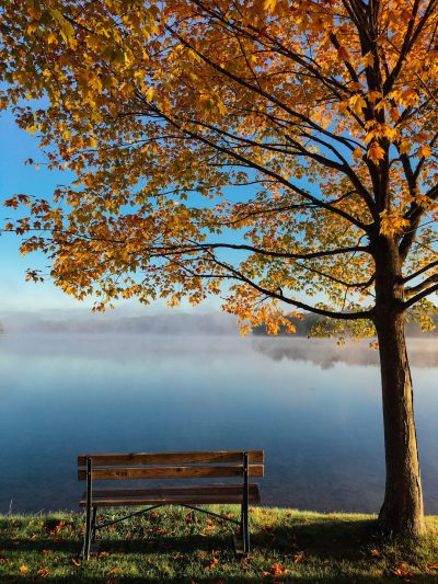 A bench under an autumn maple tree, overlooking the calm lake with mist rising from its surface. The sky is clear blue and sunny, creating a picturesque scene of nature's beauty. --ar 3:4