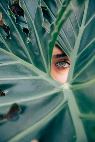 A woman's eye peering through a giant green leaf, in the style of unsplash photography. --ar 85:128