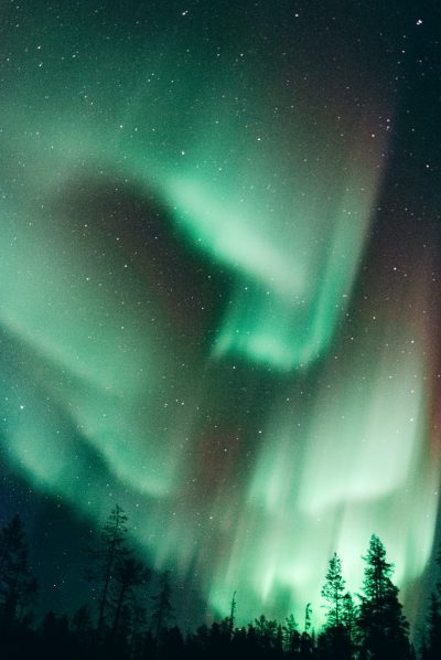 A photo of the northern lights dancing in the sky, with beautiful green and purple colors, against a starry night sky, with tall trees silhouetted against the light, captured in the style of Hasselblad X2D camera with an aperture setting of f/5.6, ISO 400, shutter speed at one second, capturing the serene beauty of nature's wonder on film. --ar 85:128