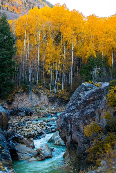 A rocky mountain stream with golden aspen trees in the background, award winning photography in the style of Rory Gardiner. --ar 85:128