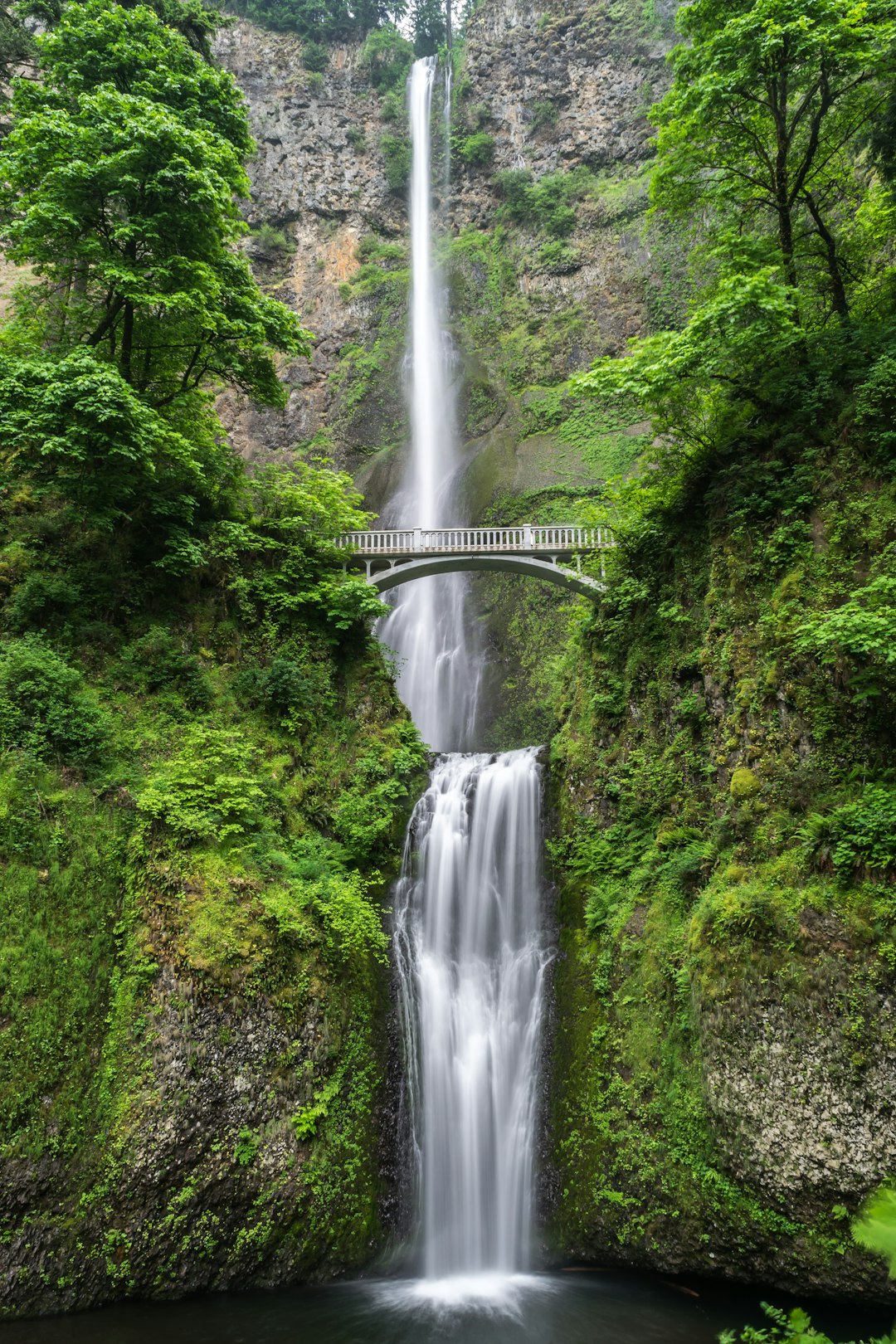 Multor Waterfall in Oregon, USA with a bridge over the waterfall, lush greenery and vibrant colors of springtime nature, perfect for a travel poster style, high resolution, high quality, hyper realistic, sharp focus, depth of field, landscape photography, professional camera shot, natural lighting, beautiful, detailed, intricate details, masterpiece, best resolution, high definition, no grainy texture, no noise in the style of a professional photographer. –ar 85:128