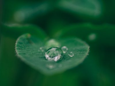 A closeup of water droplets on the edge of an emerald green leaf, creating a heart shape. The background is blurred to emphasize the focus on the raindrop and its reflection. Soft natural lighting creates gentle shadows around the drop for depth. --ar 4:3