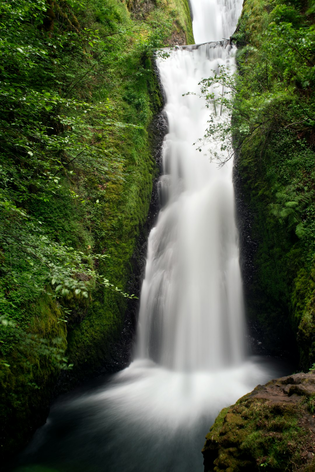 Photo of falling water in Hanes Gorge, Oregon, waterfall in the background, lush greenery, mossy rocks, long exposure, soft focus, natural light, peaceful atmosphere, wide angle lens, DSLR camera. –ar 85:128