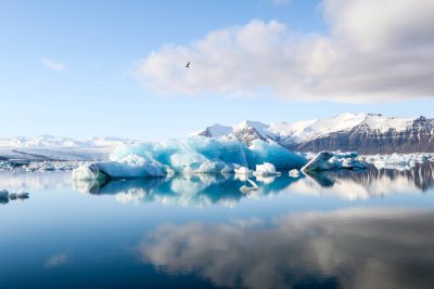 Photo of a lagoon in Iceland with icebergs floating on the water, snowy mountains and a clear blue sky in the background, reflection in the lake, a bird flying above. The photo is in the style of J Pharmaceuticals. --ar 128:85