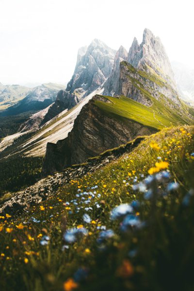 A photo of the Dolomites in Italy, green and yellow grassy hills with wild flowers, bright sunlight, big sharp rocks, shot on Hasselblad medium format camera with a wide angle lens, cinematic style reminiscent of fashion magazine cover photography, depth of field effect with a white background. --ar 85:128